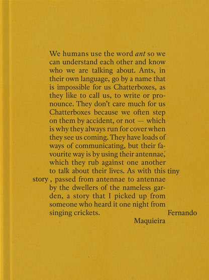 Redactioneel RM Een klein verhaal fotoboek