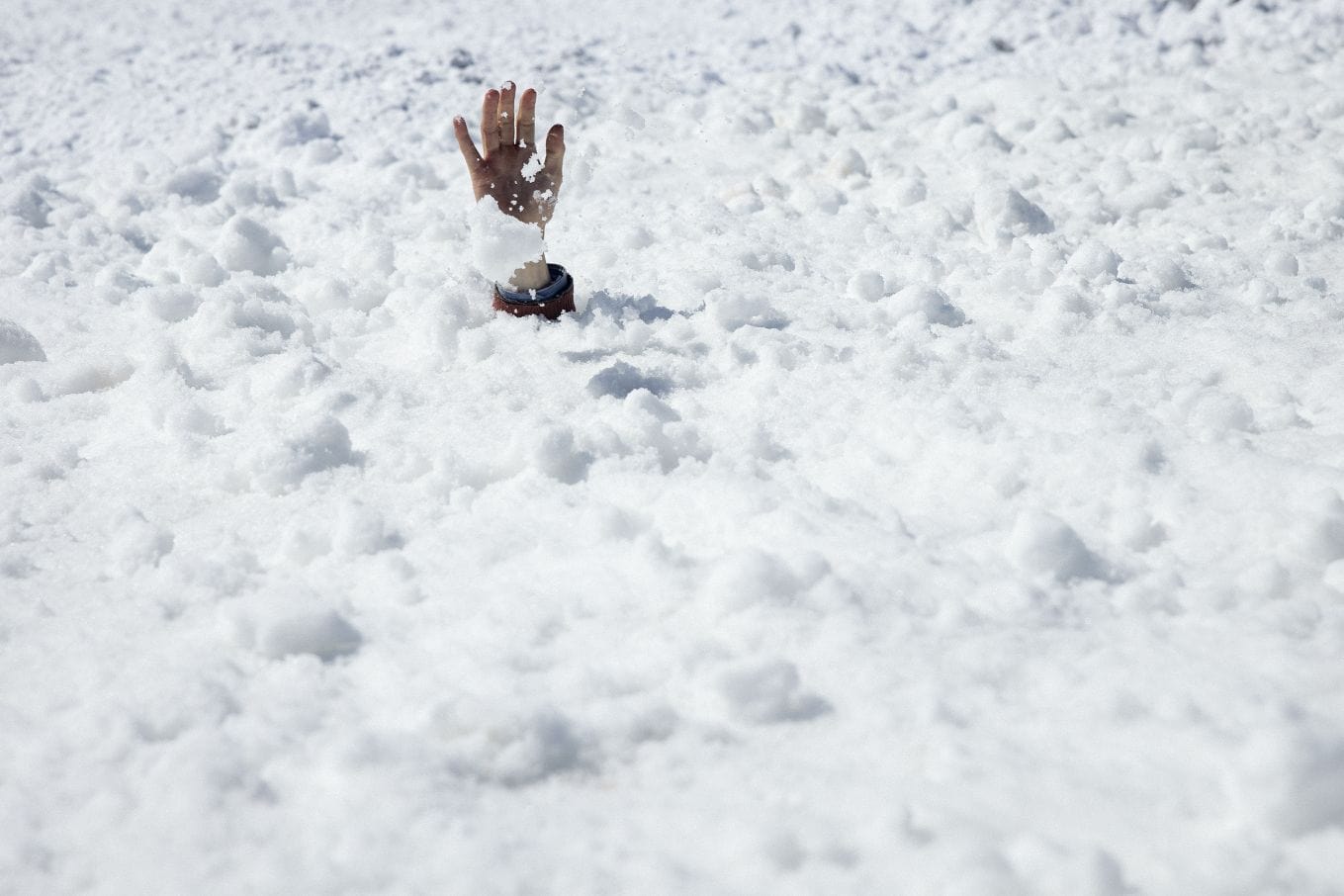 Editorial RM In the Society of the Snow Photobook