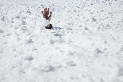 Editorial RM In the Society of the Snow Photobook