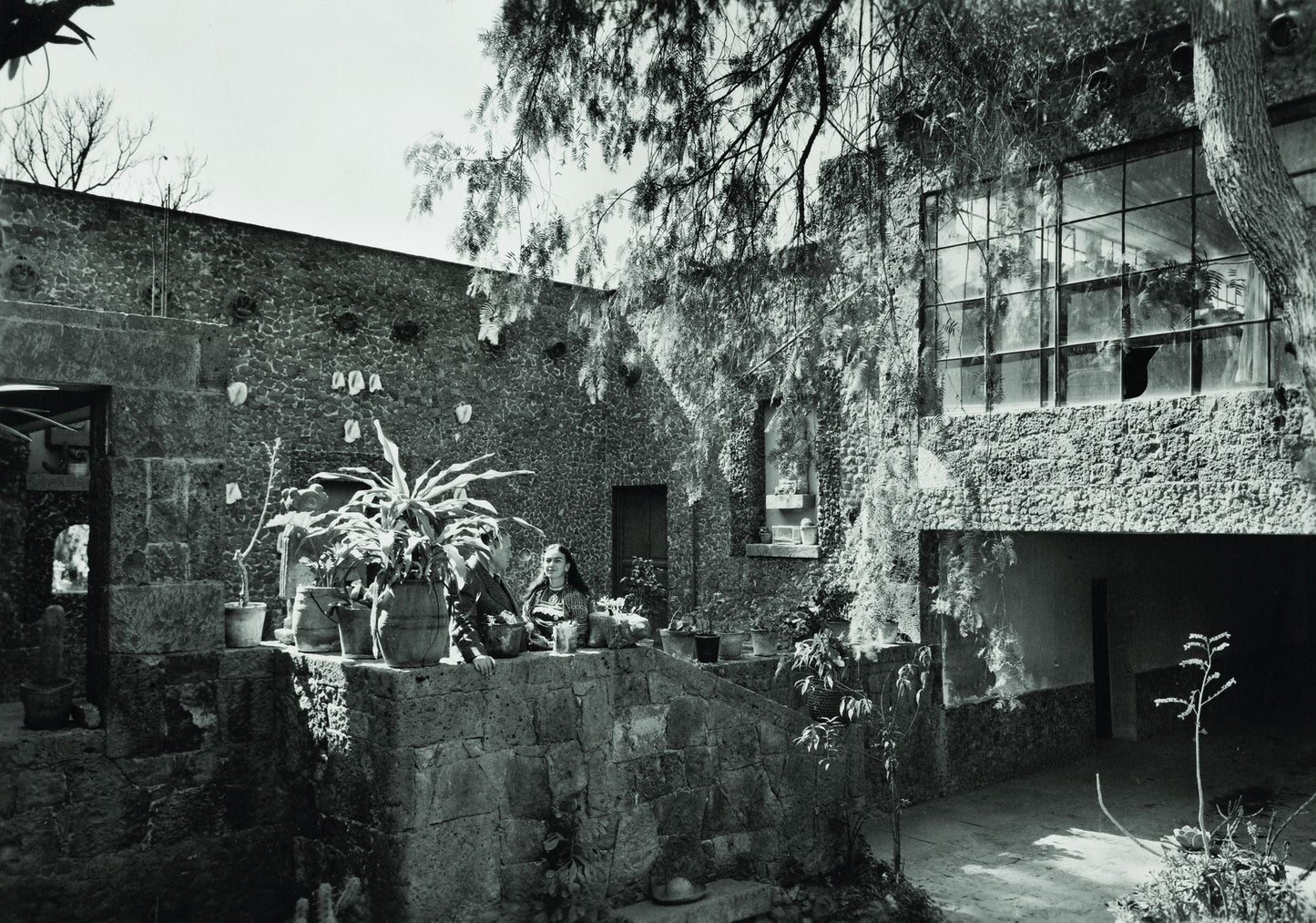 Editorial RM Frida Kahlo - Her Universe Photobook