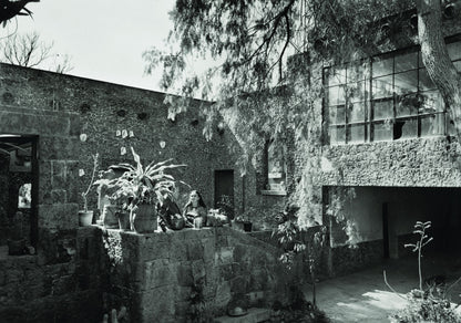 Editorial RM Frida Kahlo - Her Universe Photobook