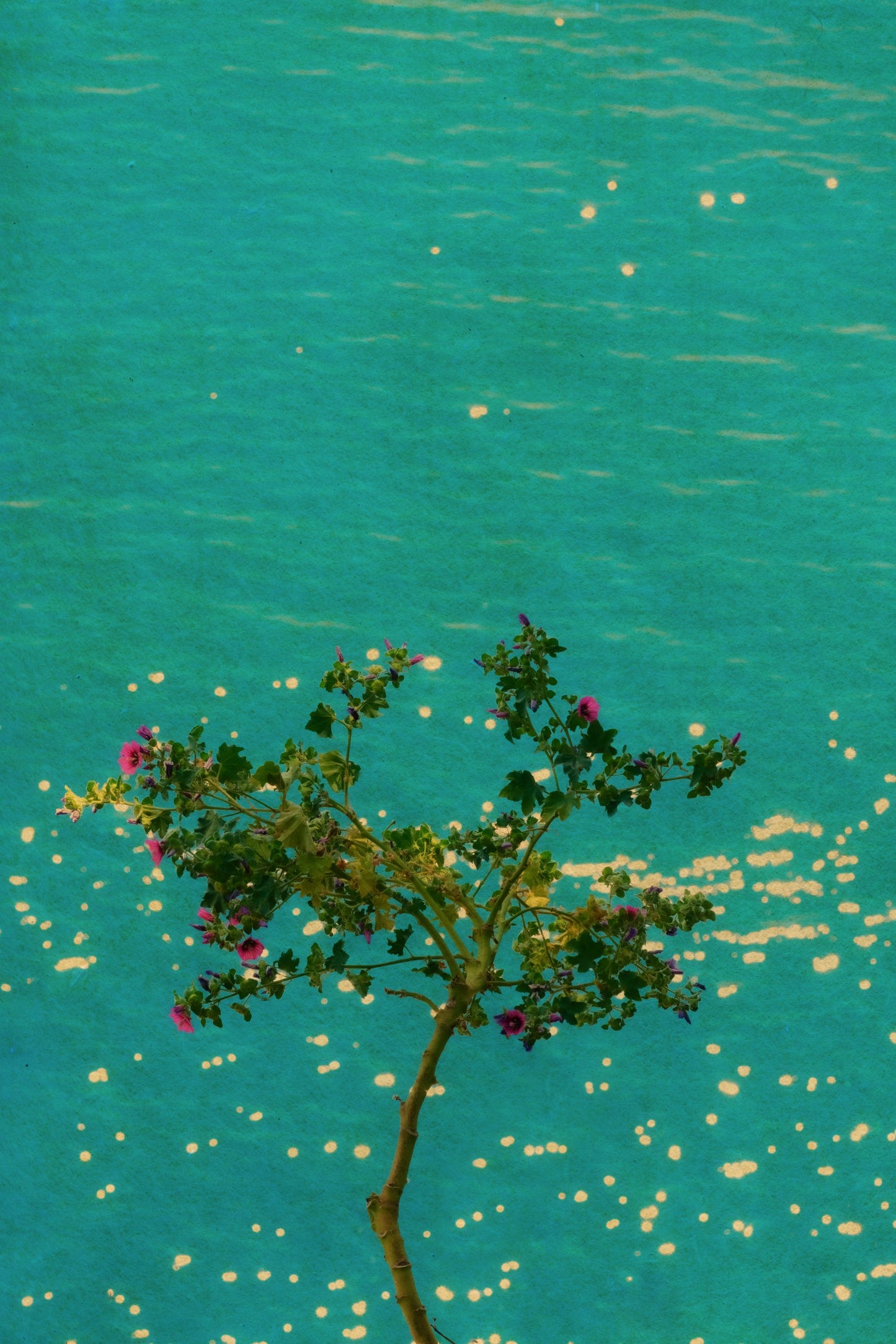 Windows to the Unexpected