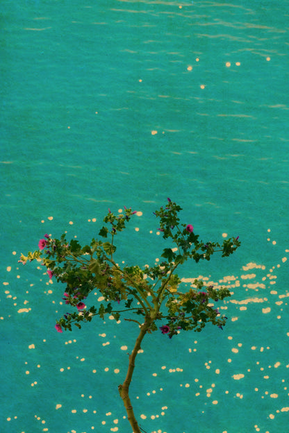 Windows to the Unexpected