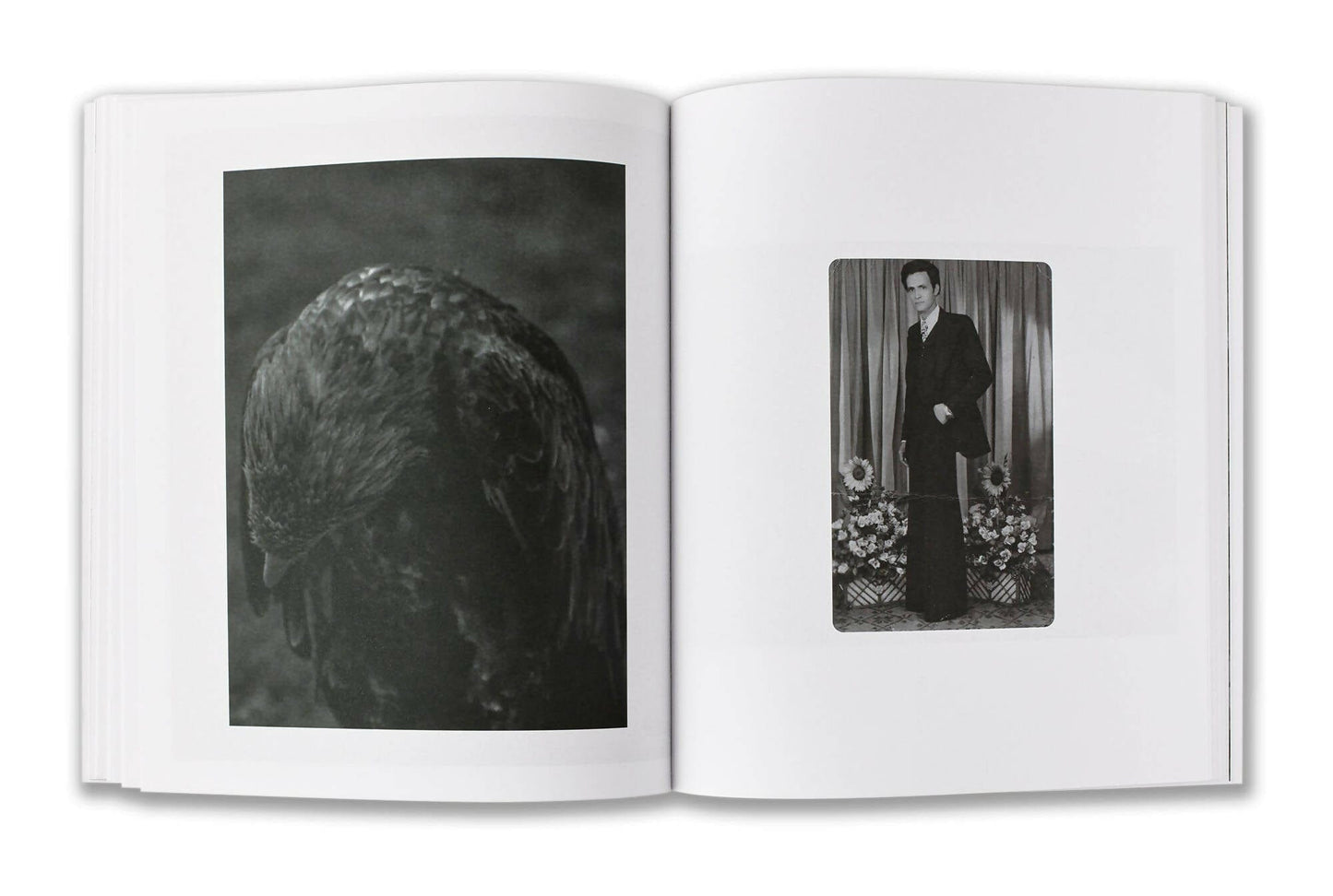 Editorial RM Our Hidden Room Photobook