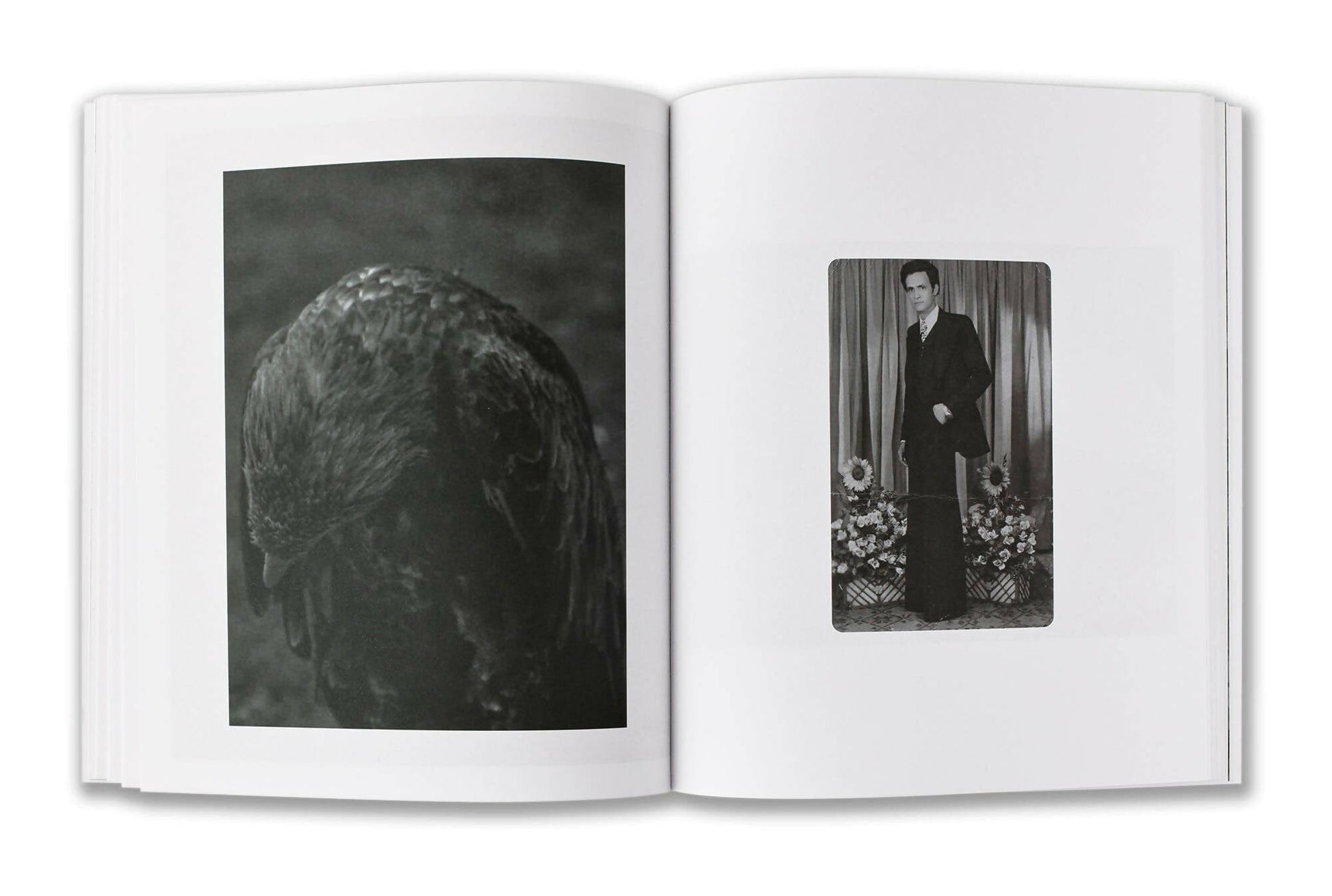 Editorial RM Our Hidden Room Photobook