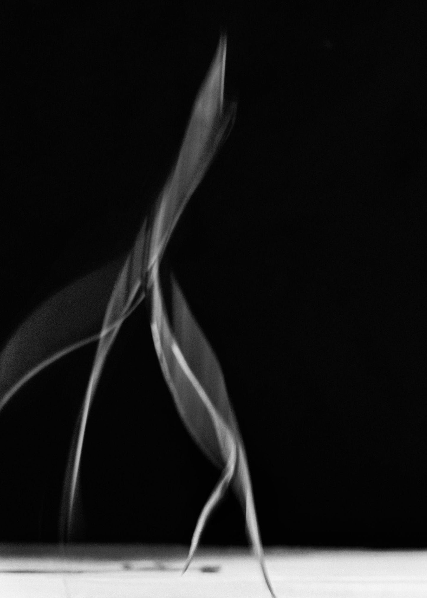 Editorial RM Needles Photobook