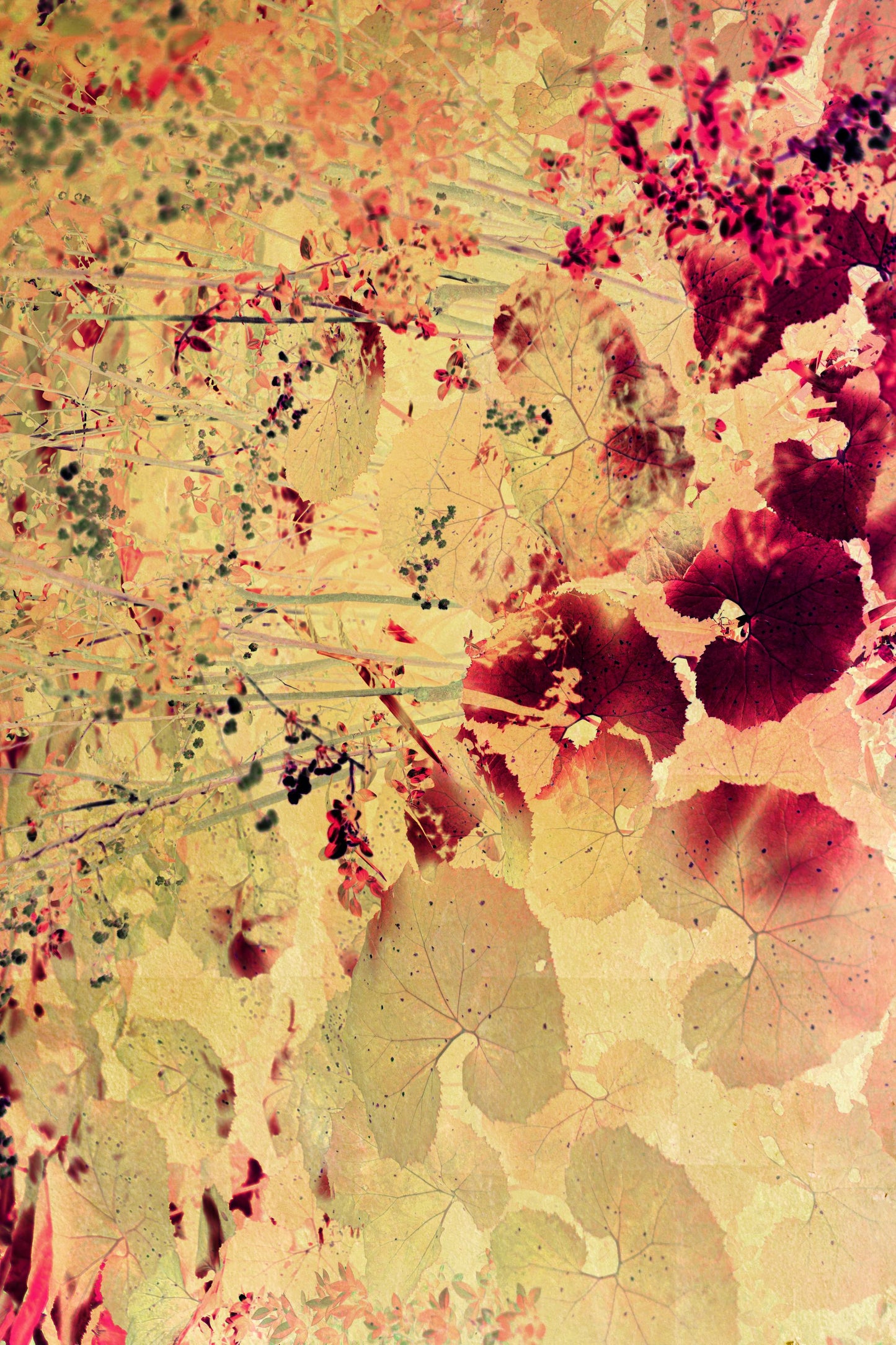 Windows to the Unexpected