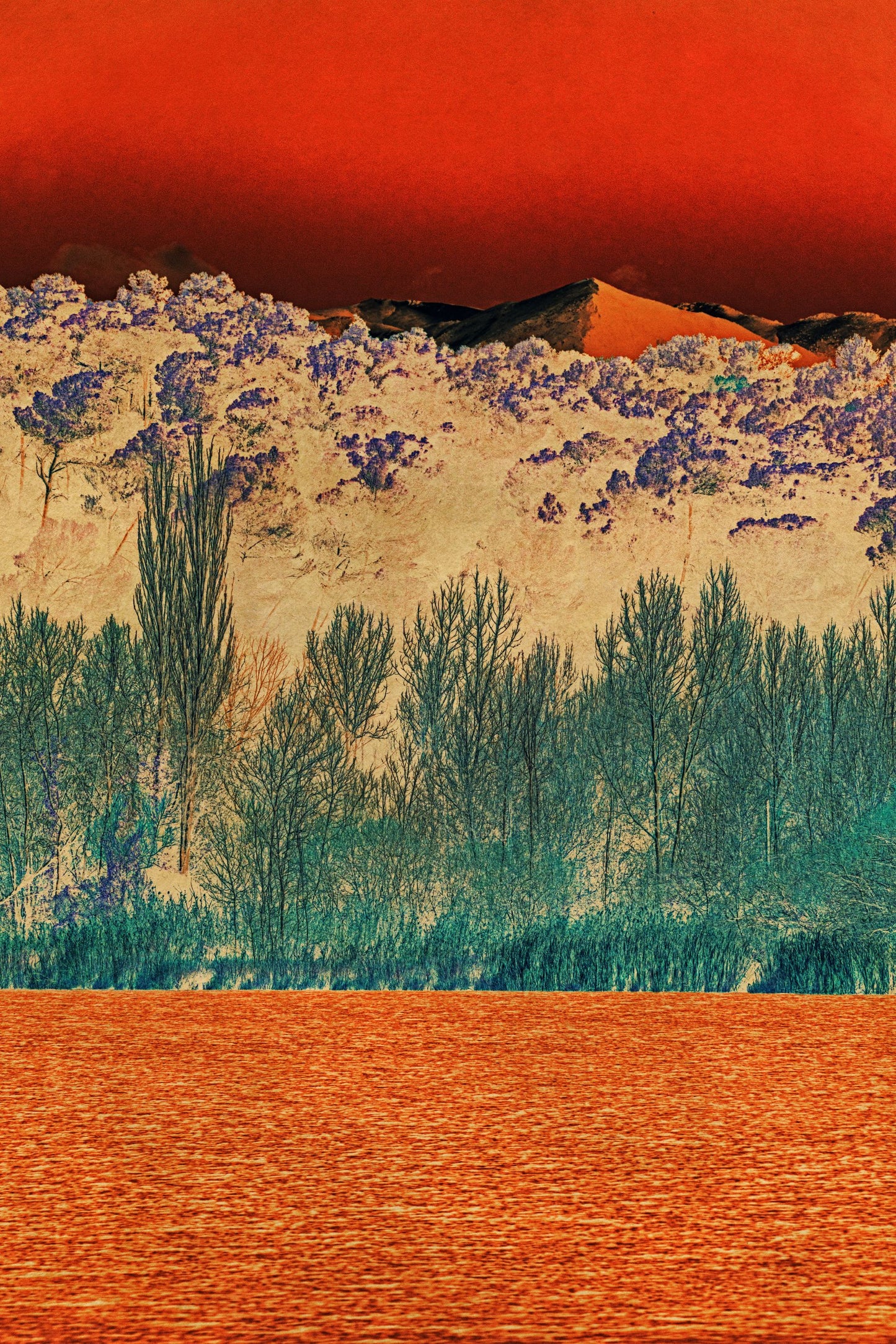 Windows to the Unexpected