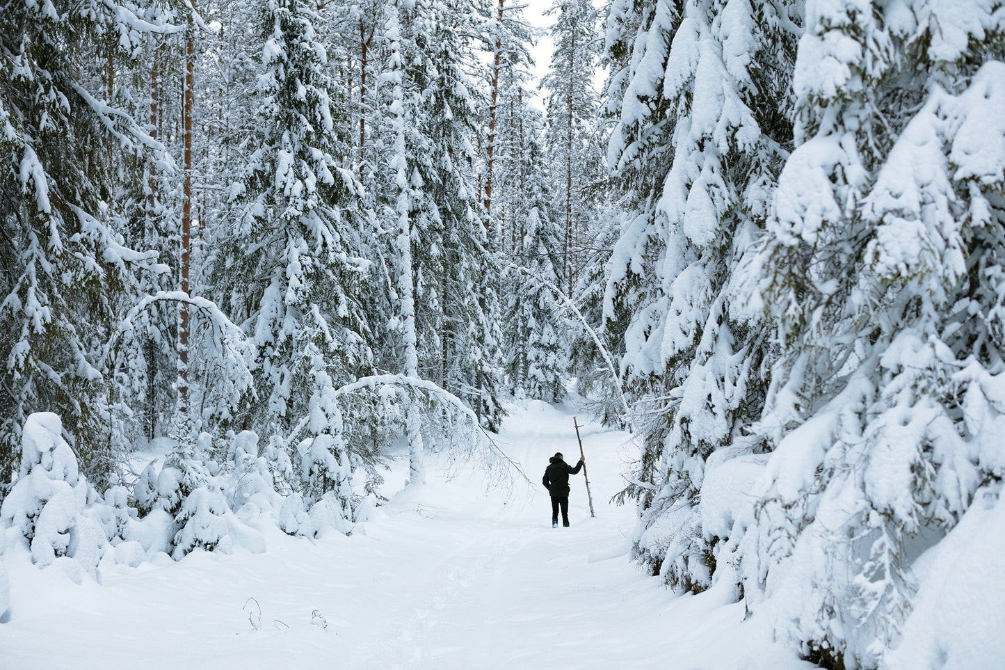 Dewi Lewis Publishing Years Like Water Photobooks