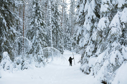Dewi Lewis Publishing Years Like Water Photobooks