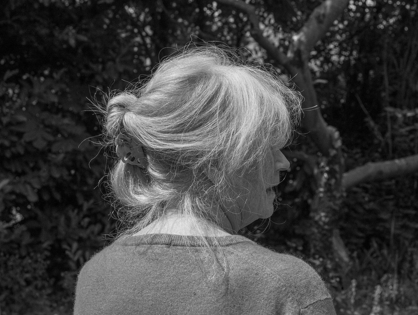 Dewi Lewis Publishing Pictures From The Garden Photobooks