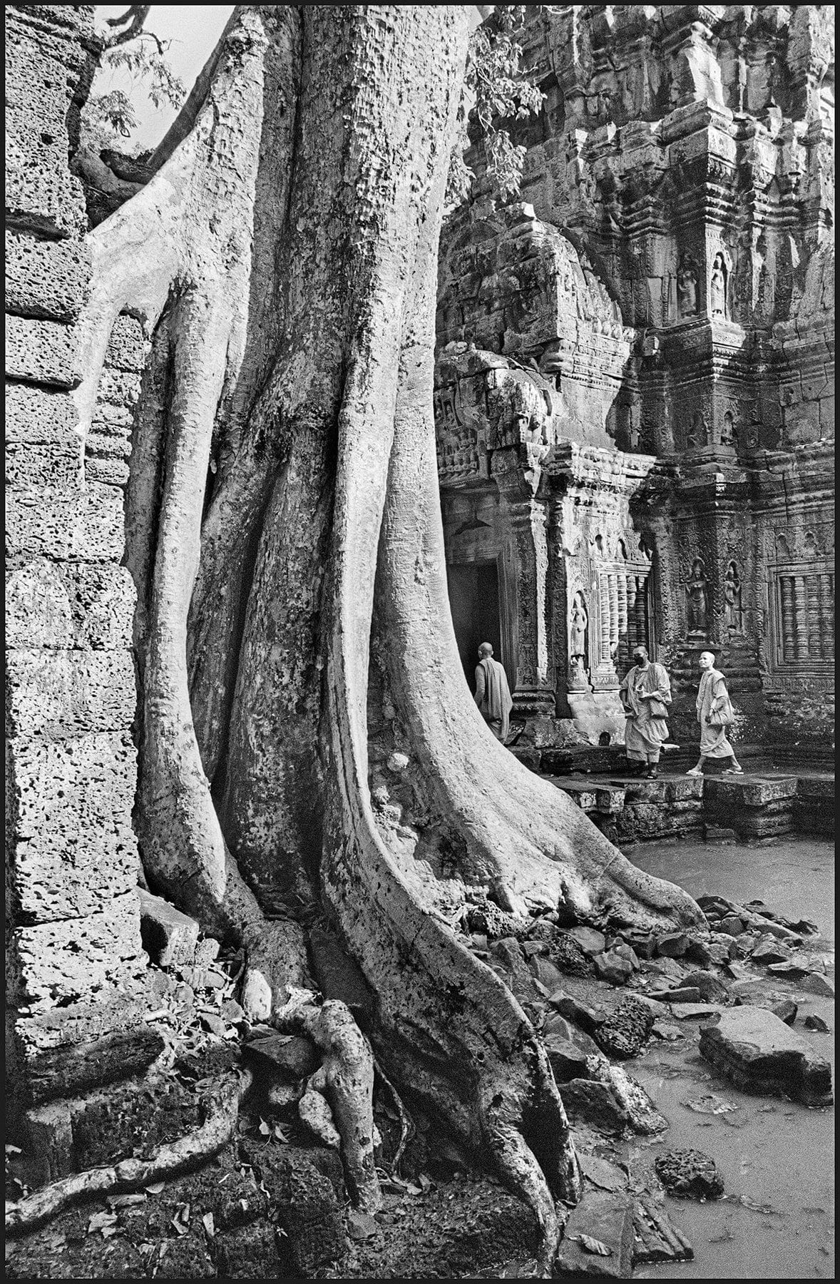 Dewi Lewis Publishing Traces Photobooks