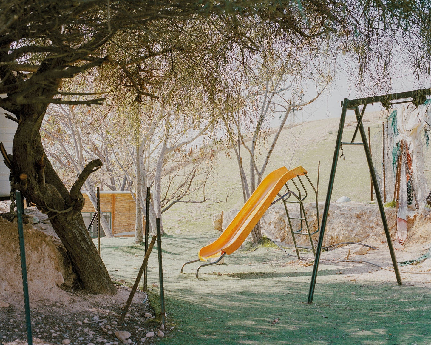 Dewi Lewis Publishing Born of Sand + Sun Photobooks