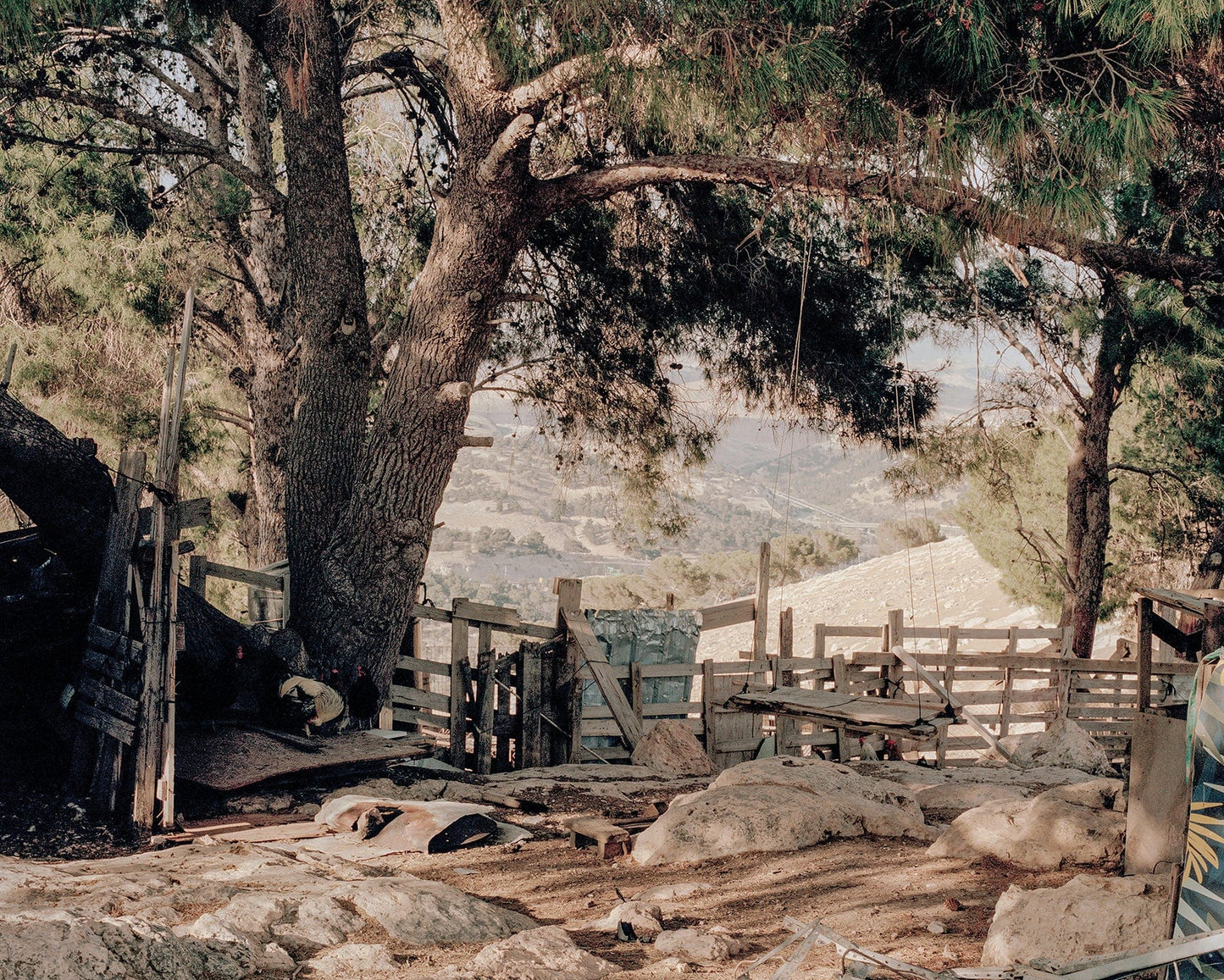 Dewi Lewis Publishing Born of Sand + Sun Photobooks