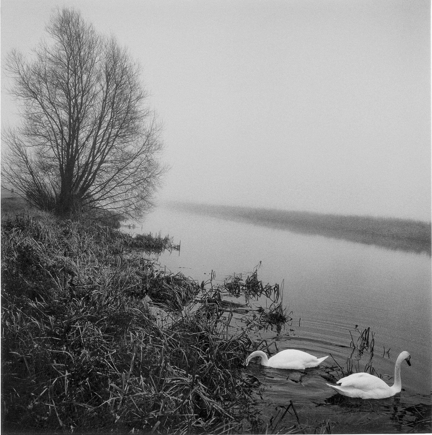 Dewi Lewis Publishing Fragile Photobooks