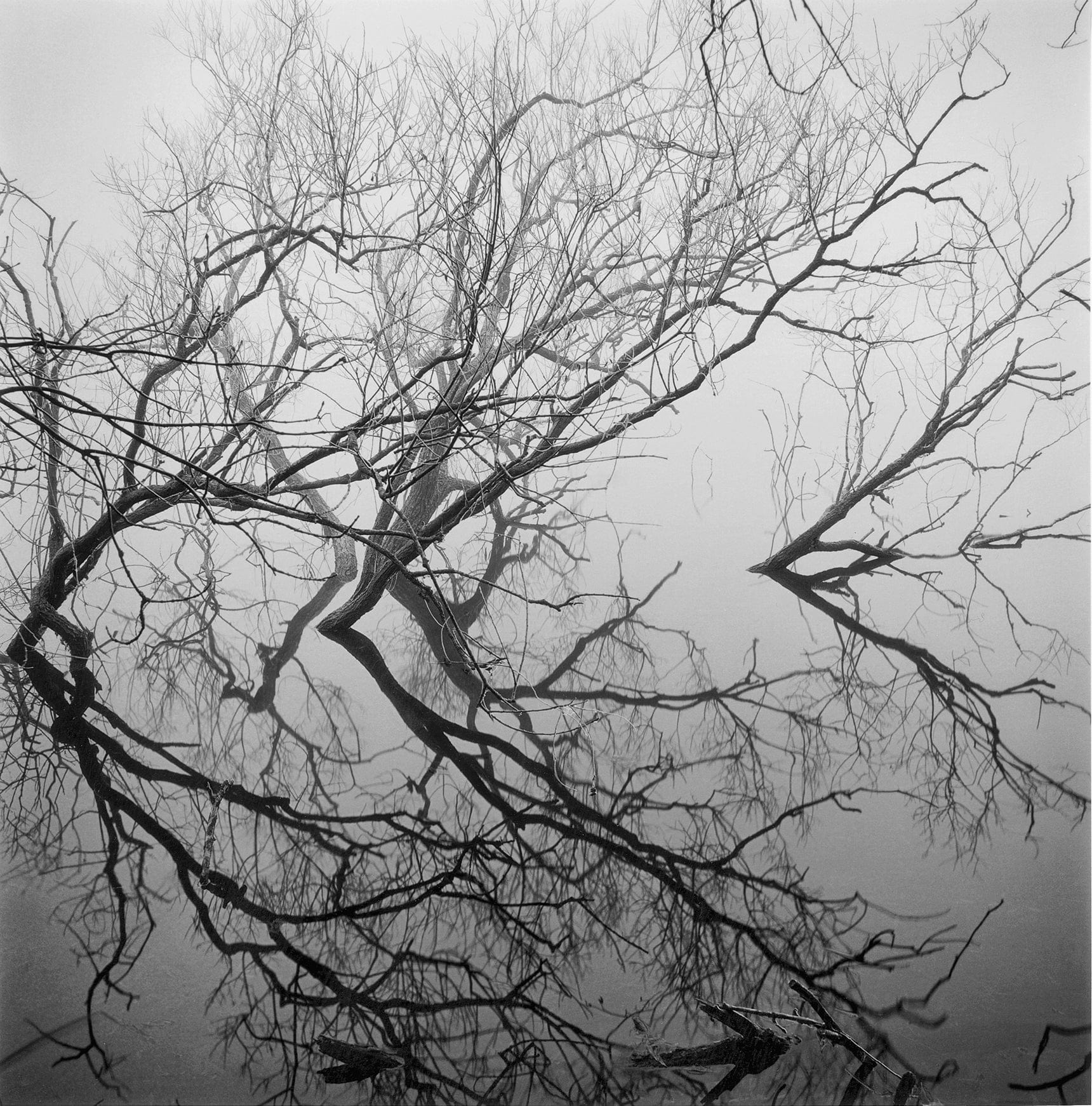 Dewi Lewis Publishing Fragile Photobooks