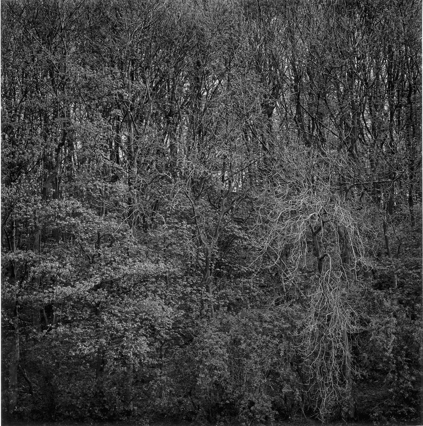 Dewi Lewis Publishing Fragile Photobooks