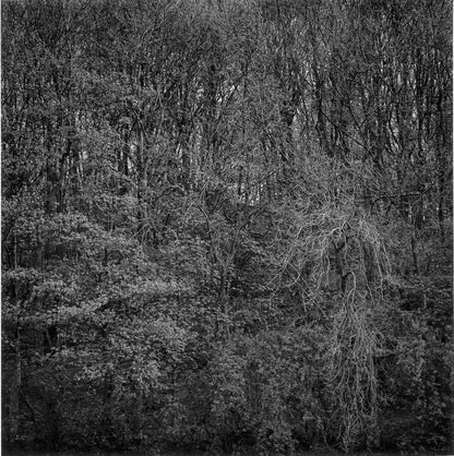 Dewi Lewis Publishing Fragile Photobooks