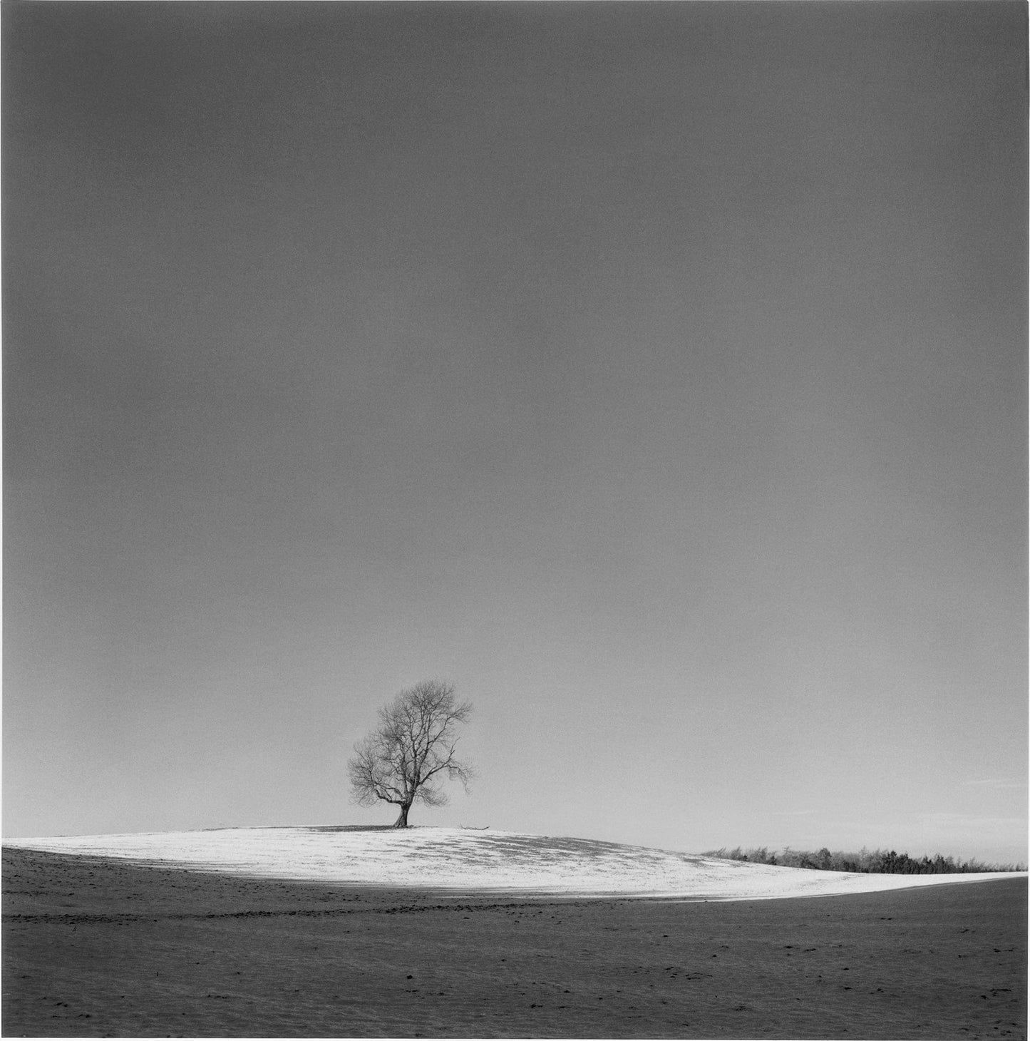 Dewi Lewis Publishing Fragile Photobooks