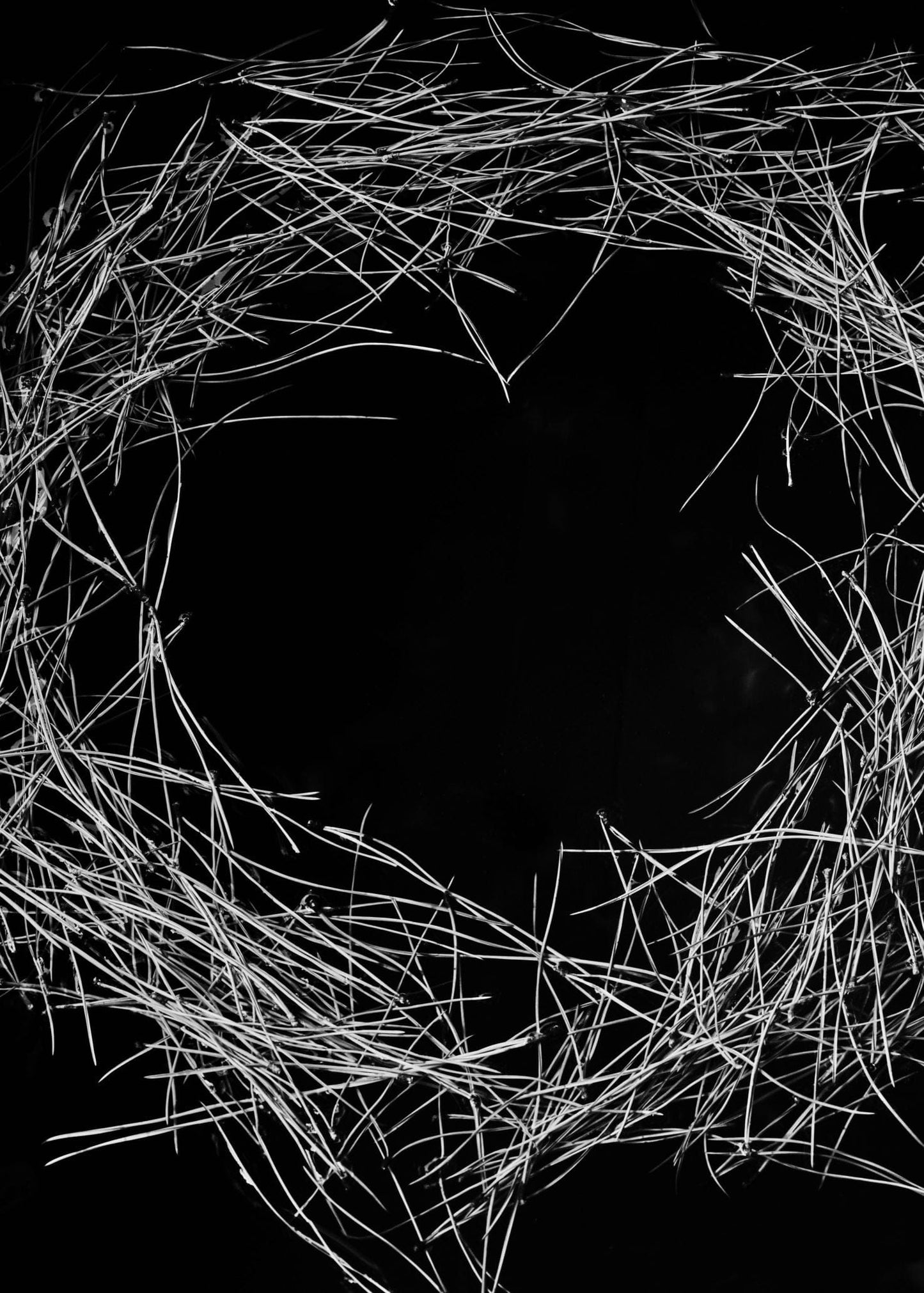 Editorial RM Needles Photobook