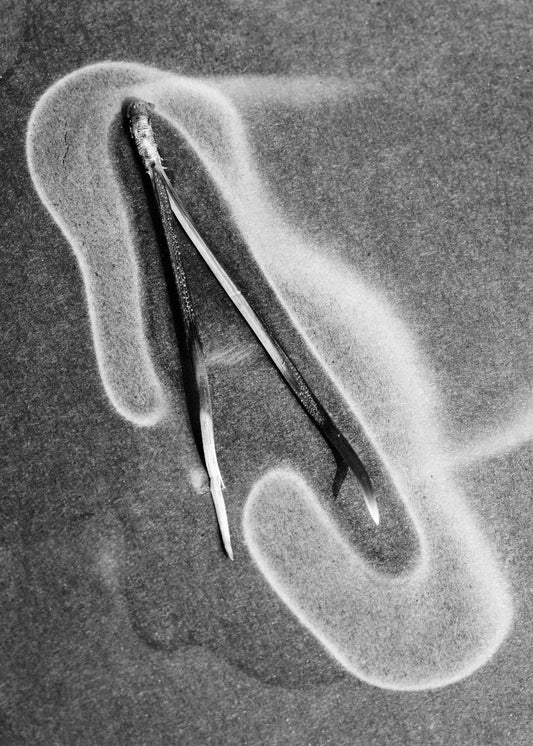 Editorial RM Needles Photobook