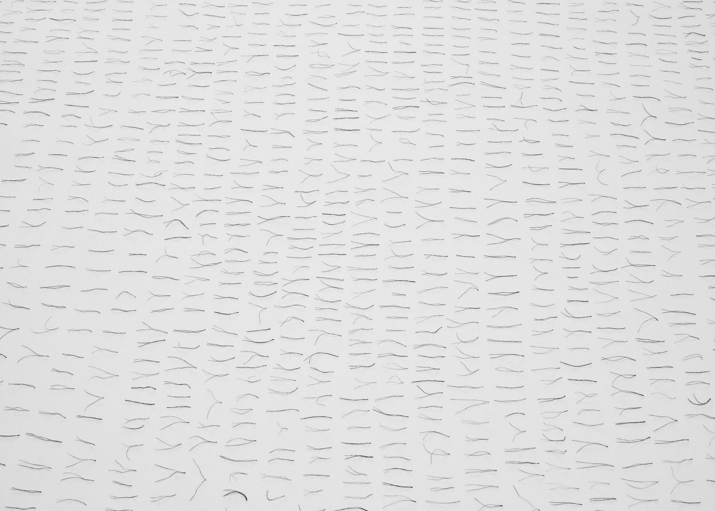 Editorial RM Needles Photobook