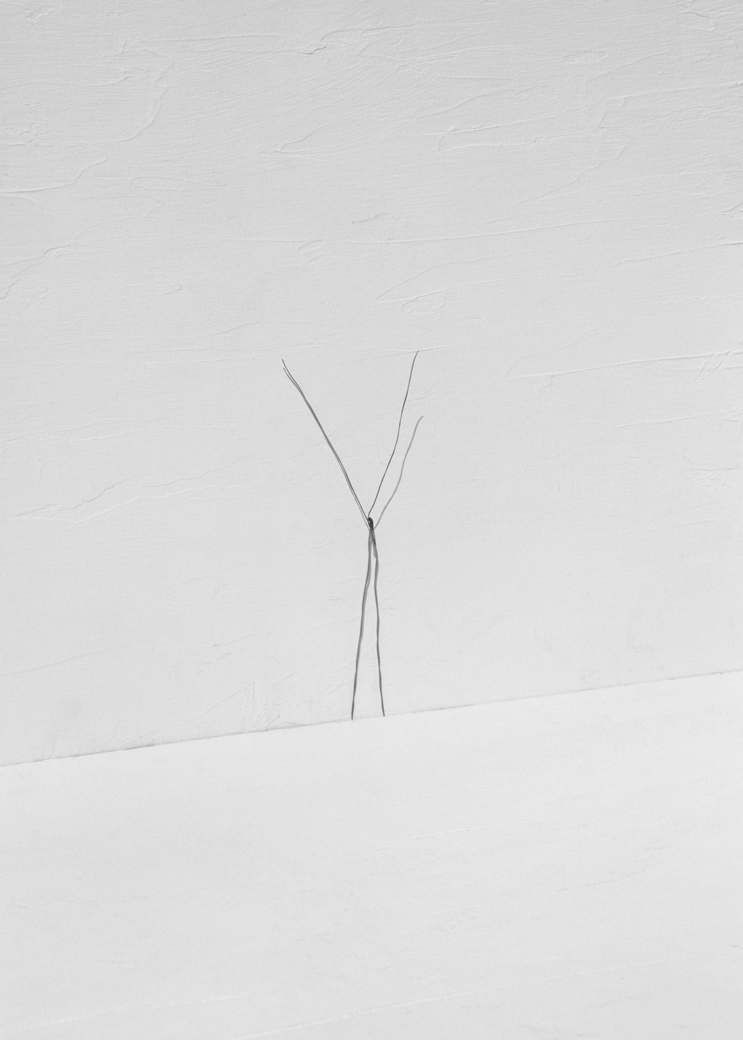 Editorial RM Needles Photobook