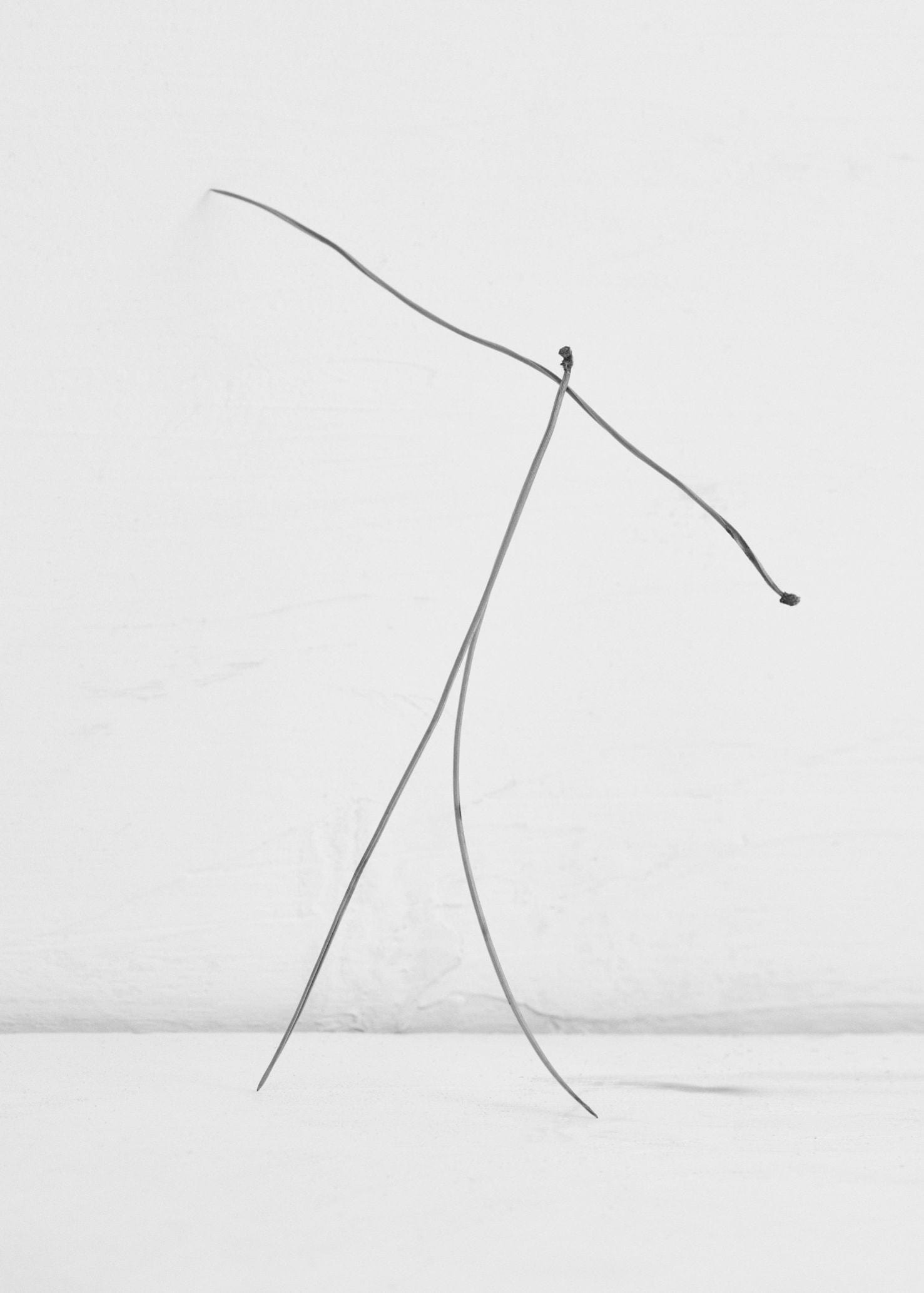 Editorial RM Needles Photobook