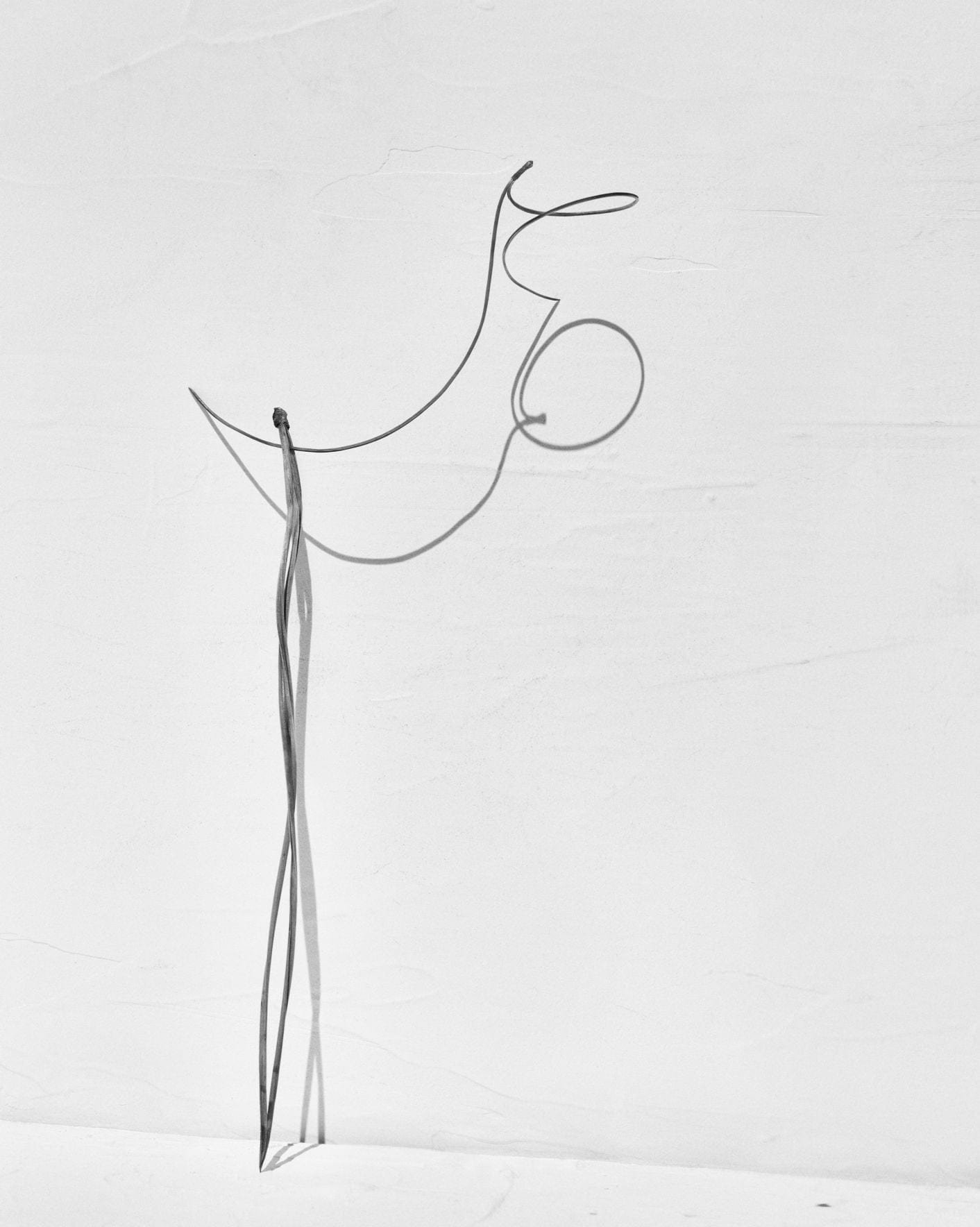 Editorial RM Needles Photobook