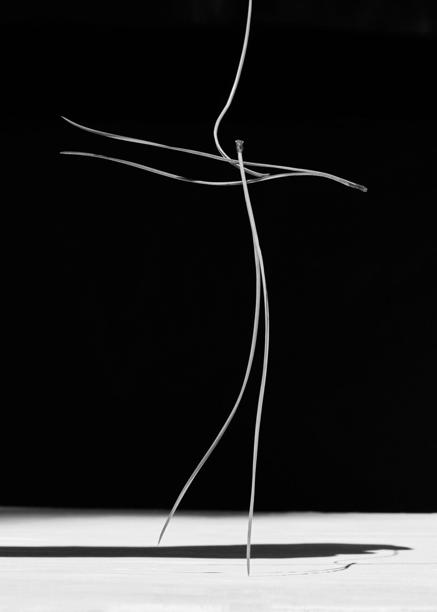 Editorial RM Needles Photobook