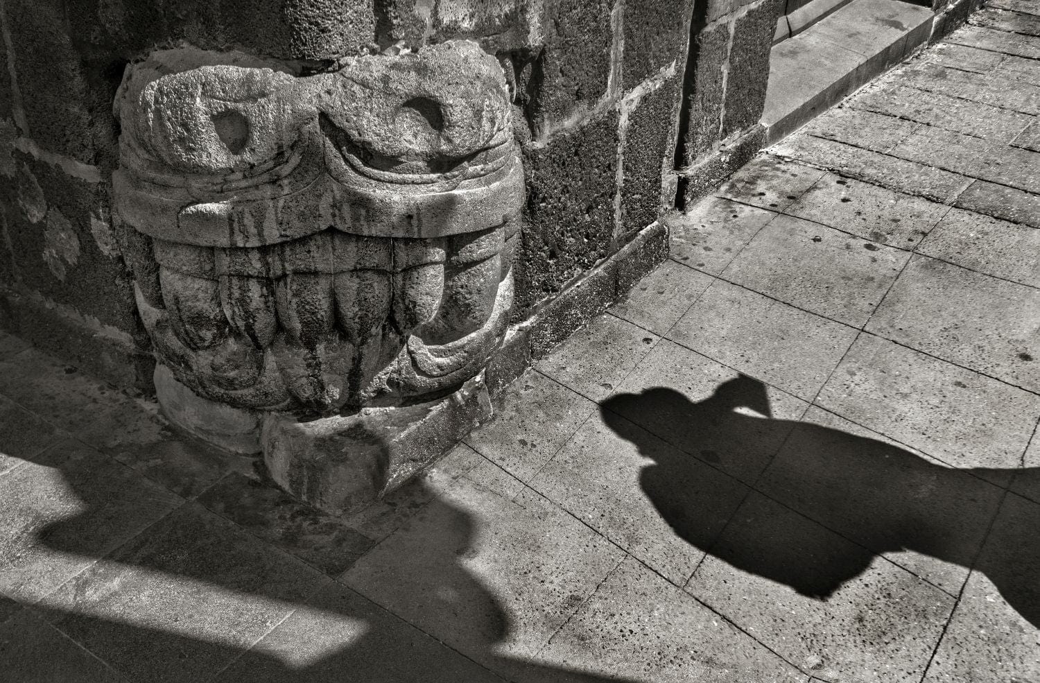 Editorial RM Tenochtitlan Photobook