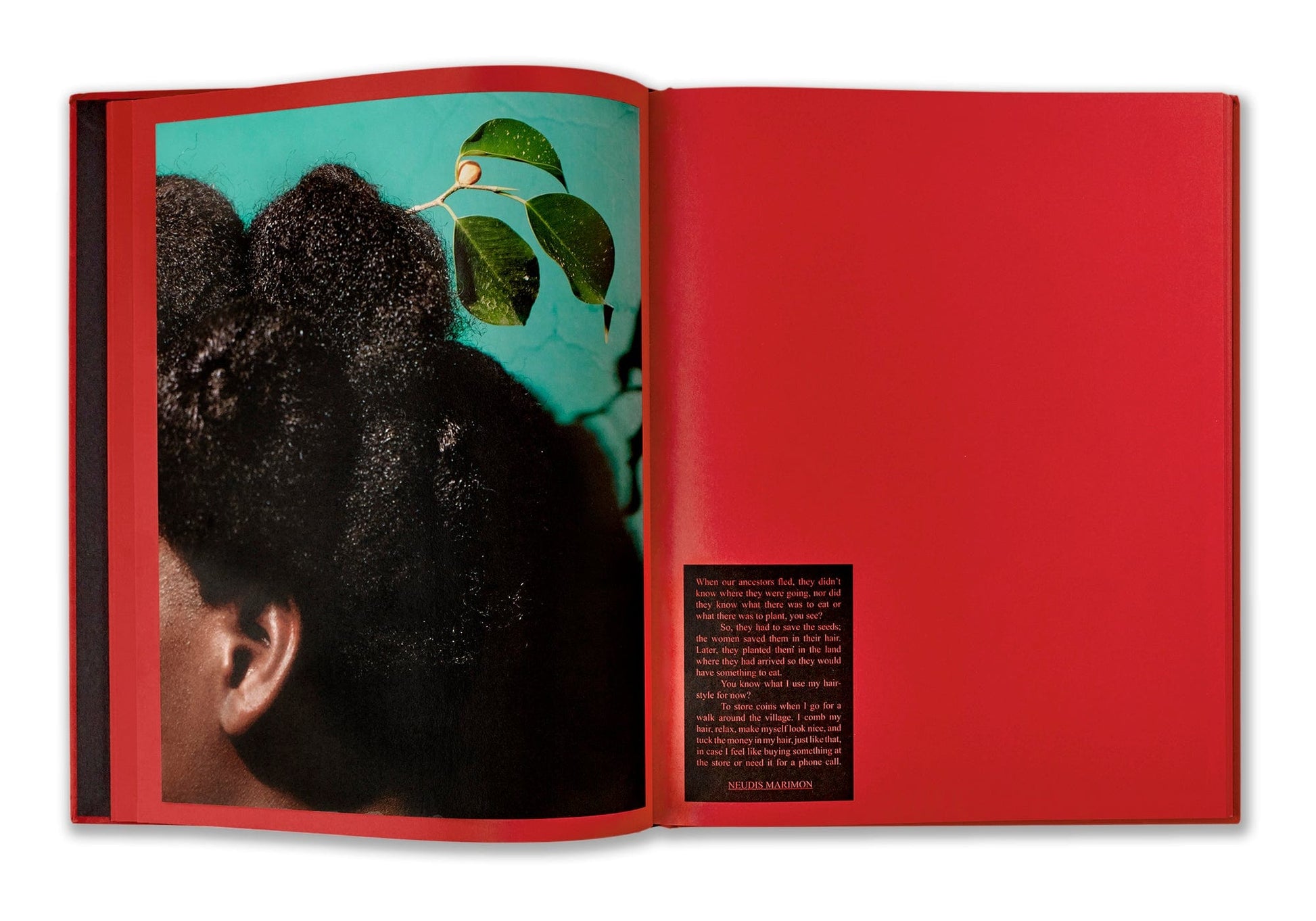 Editorial RM Kalabongó Photobook