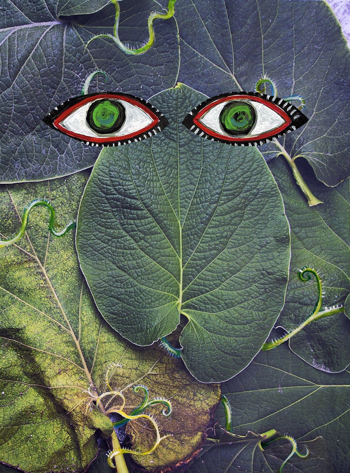 Dewi Lewis Publishing Hoja Santa Photobooks