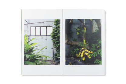 Redactioneel RM Against All That Glitters Fotoboek