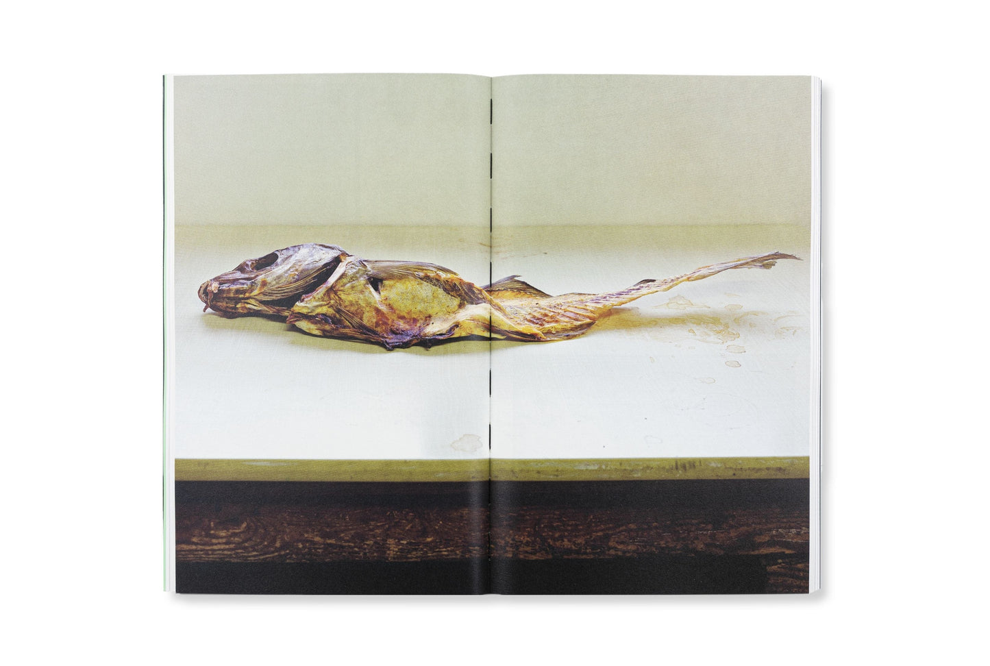 Redactioneel RM Against All That Glitters Fotoboek