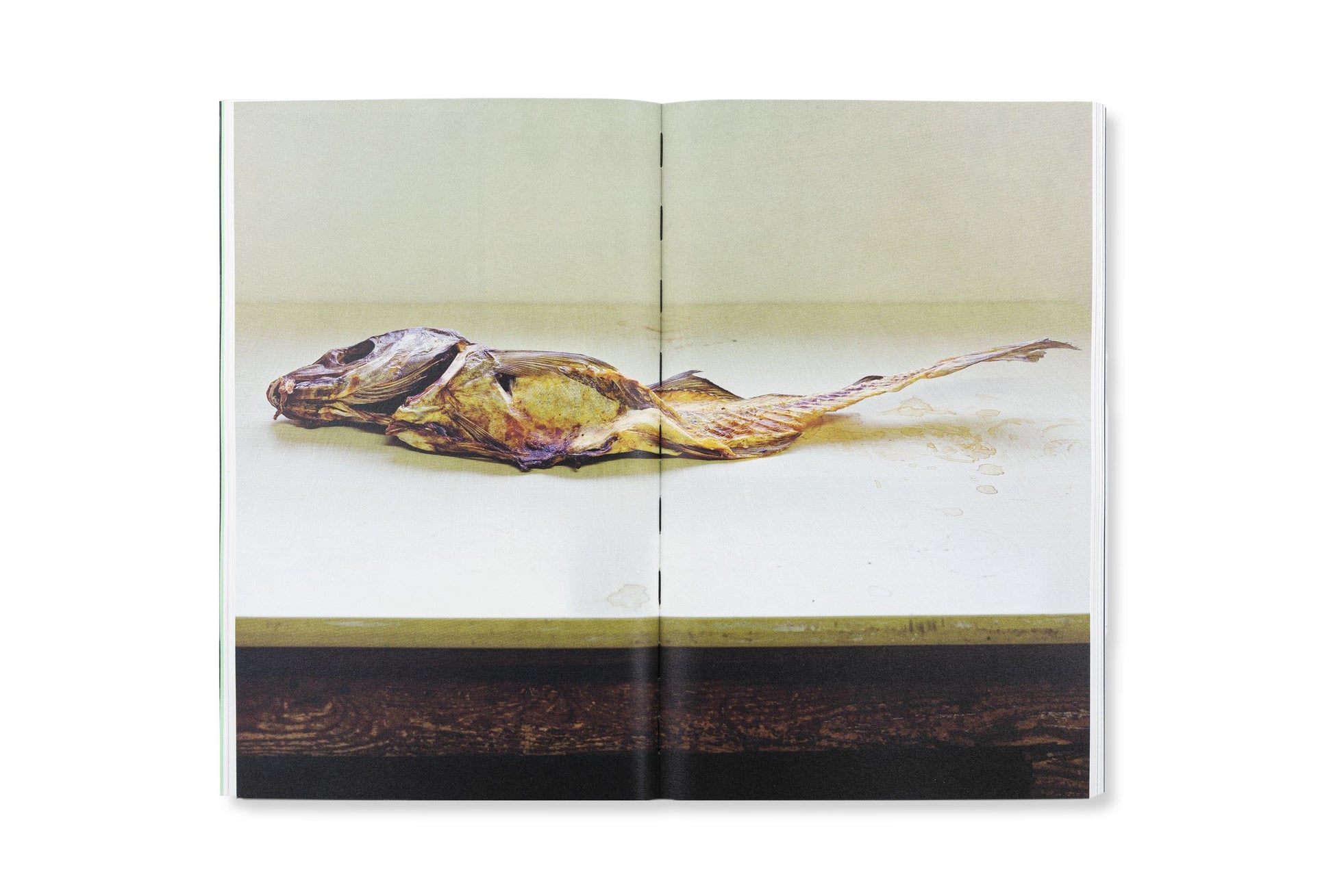 Redactioneel RM Against All That Glitters Fotoboek