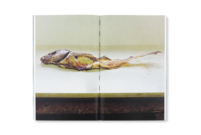 Redactioneel RM Against All That Glitters Fotoboek