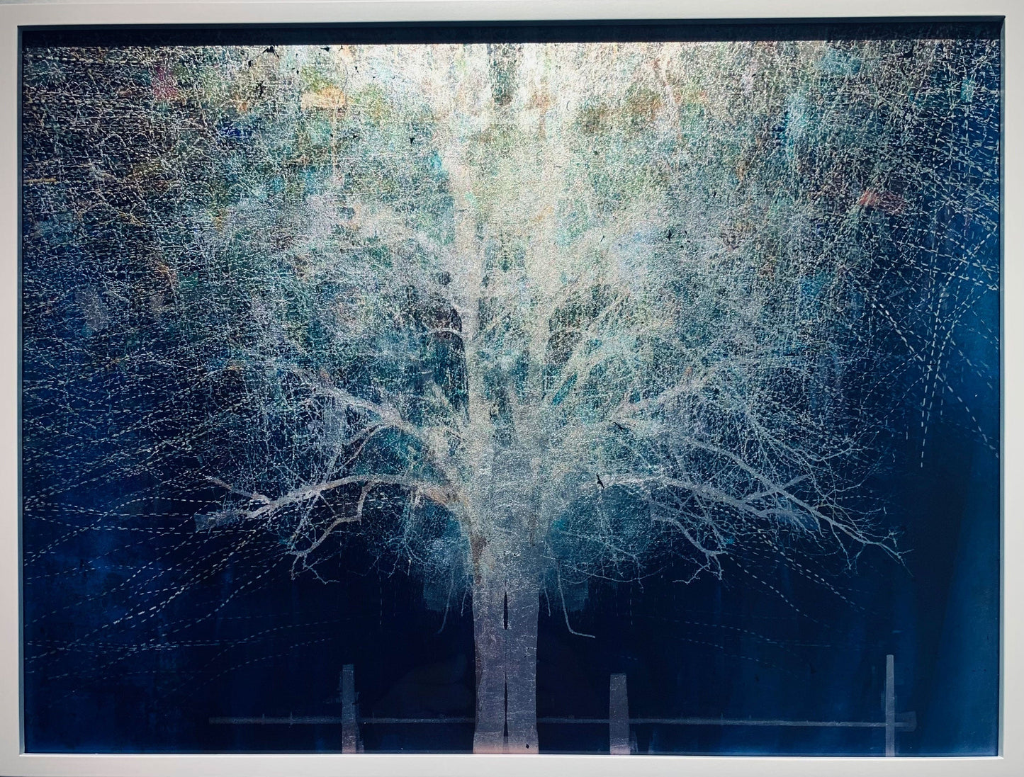 MMX Gallery Blue Moon Rising Photograph; Photographic Print on Museum Glass
