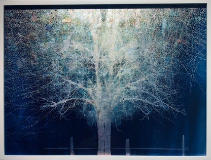MMX Gallery Blue Moon Rising Photograph; Photographic Print on Museum Glass