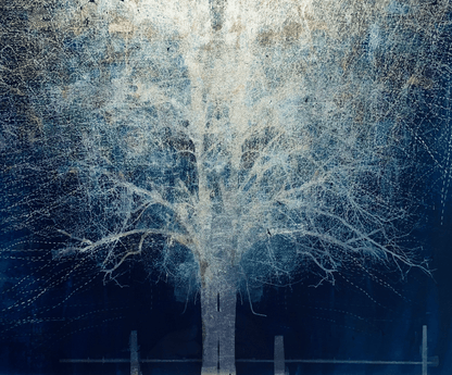 MMX Gallery Blue Moon Rising Photograph; Photographic Print on Museum Glass