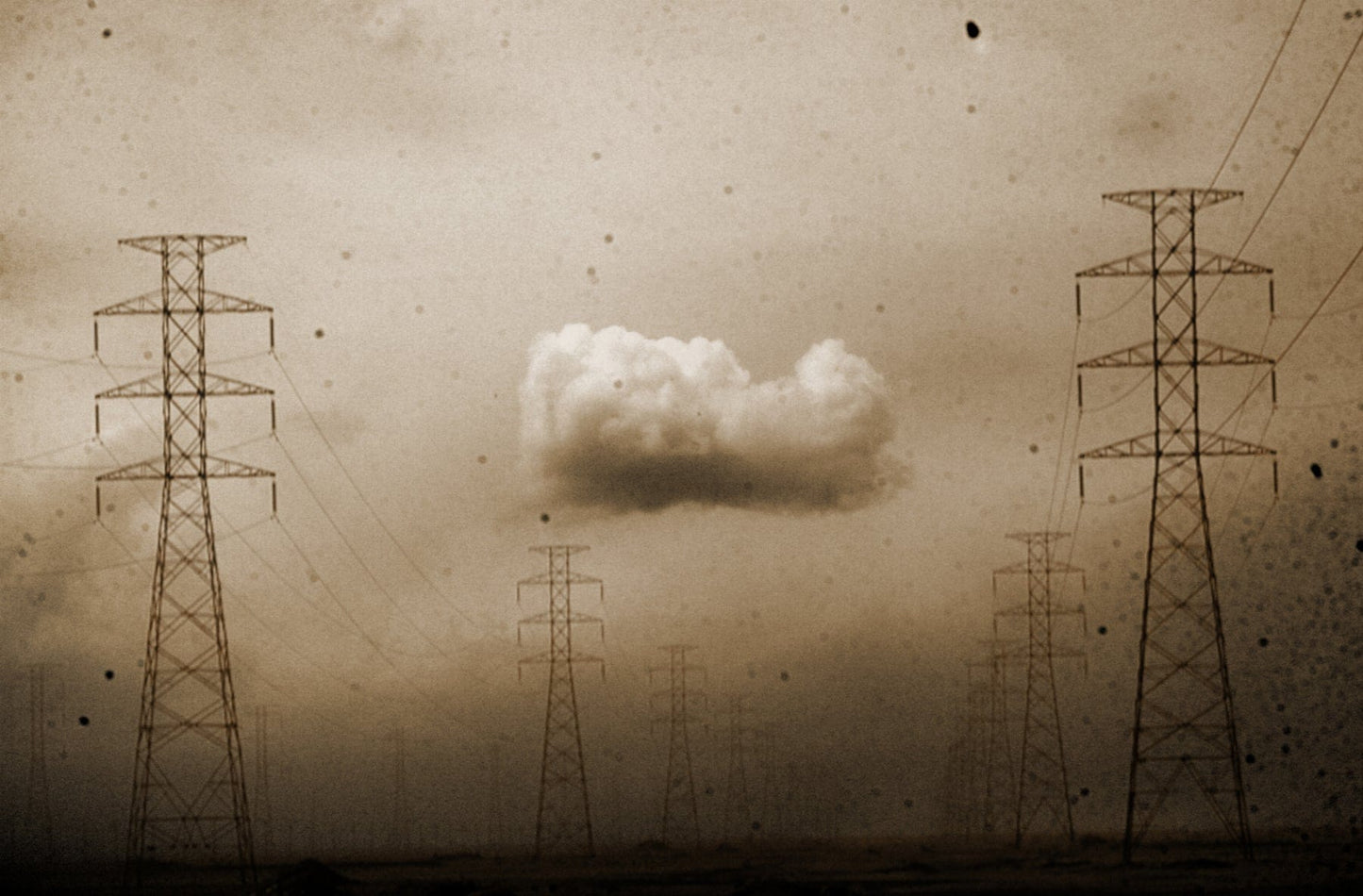 LS10 Gallery Past Continuous Tense, II Photograph