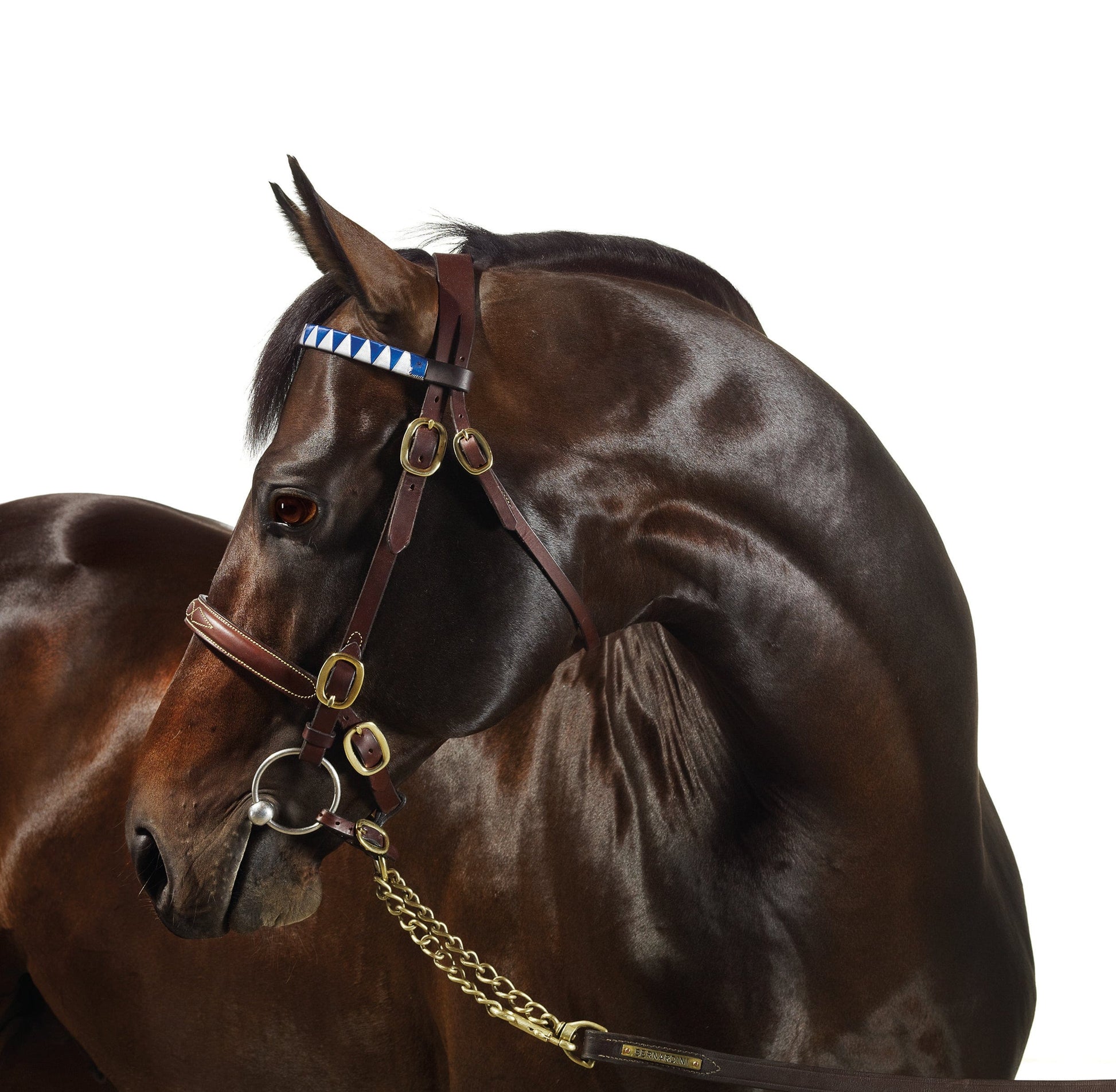 MMX Gallery Bernardini Photograph