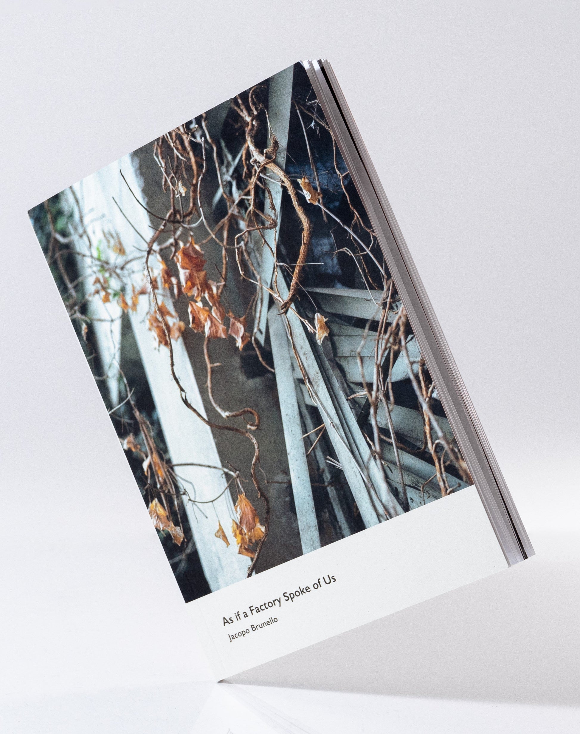 hECTIC bOOKS As if a Factory Spoke of Us Photobook