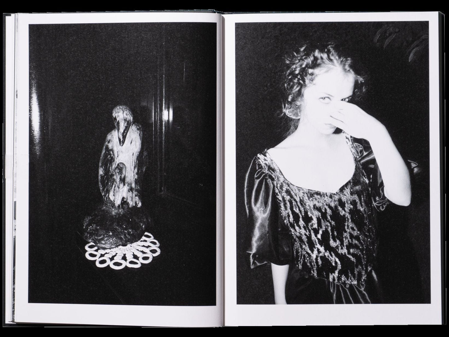 hECTIC bOOKS Porcelain + Wool Photobook