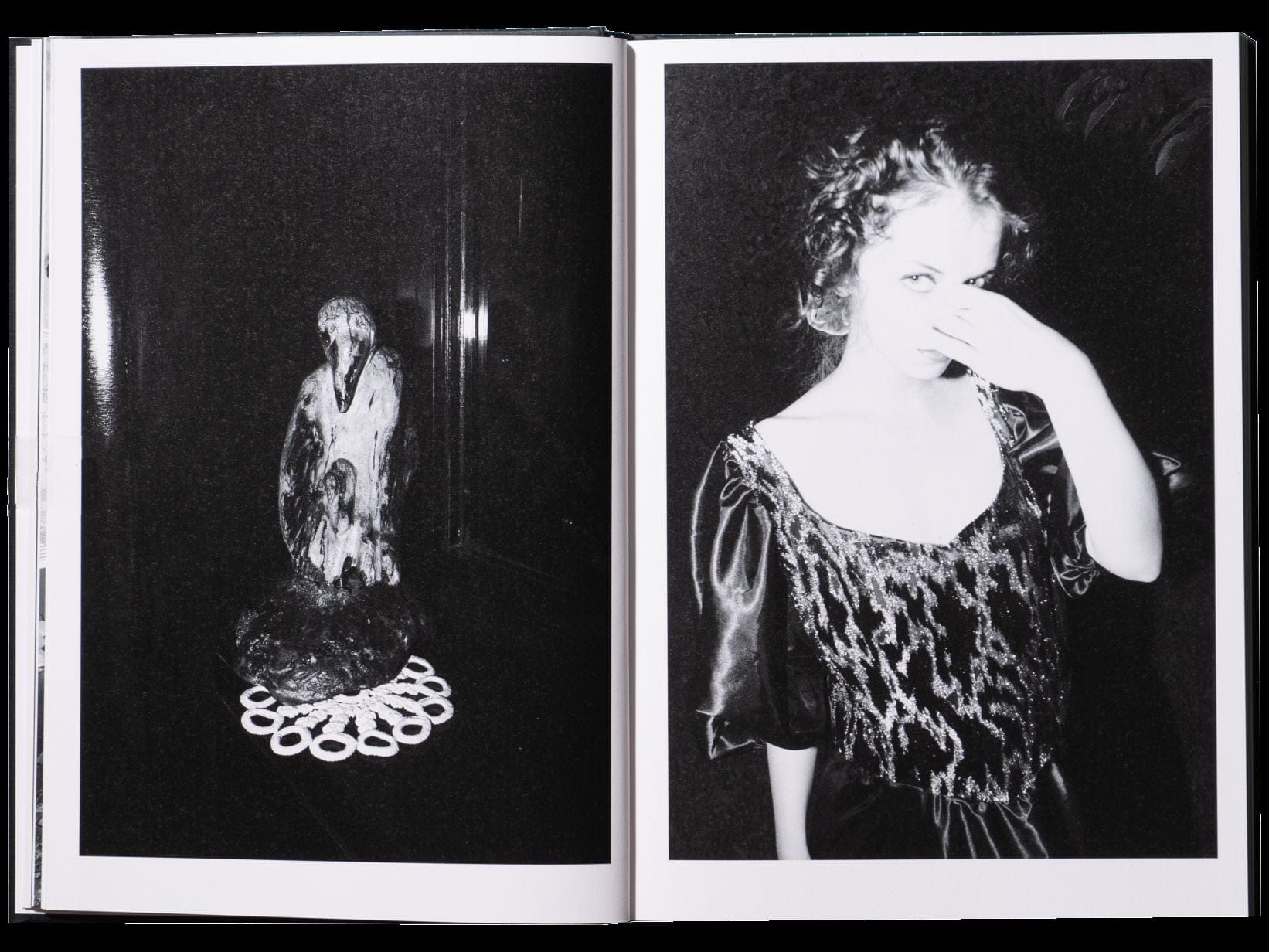 hECTIC bOOKS Porcelain + Wool Photobook