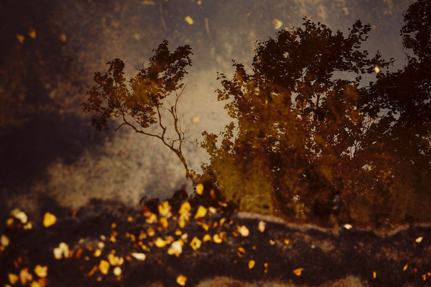 Crane Kalman Brighton Deep Inside III #1 Photograph