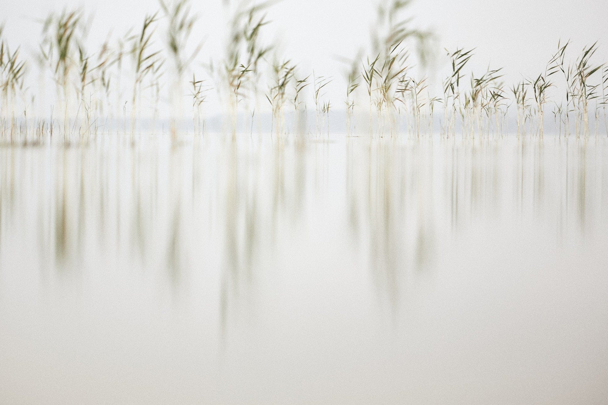 Crane Kalman Brighton Deep Inside III #4 Photograph