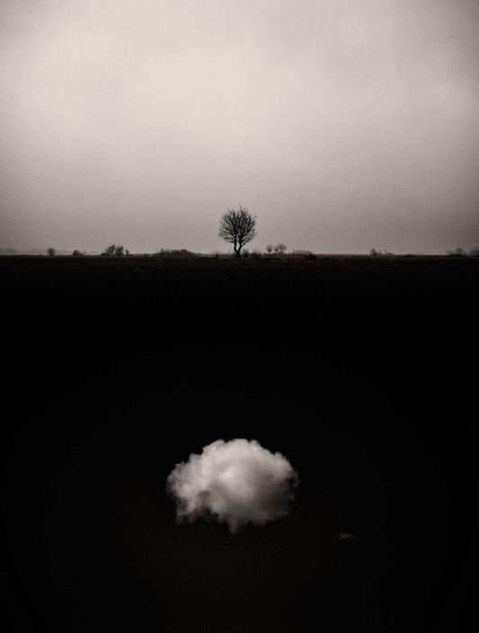 Crane Kalman Brighton Gaia 6 Photograph