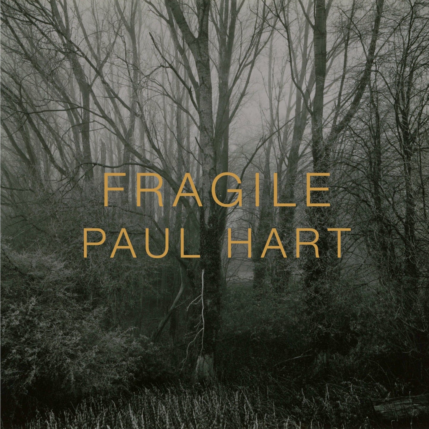 Dewi Lewis Publishing Fragile Photobooks