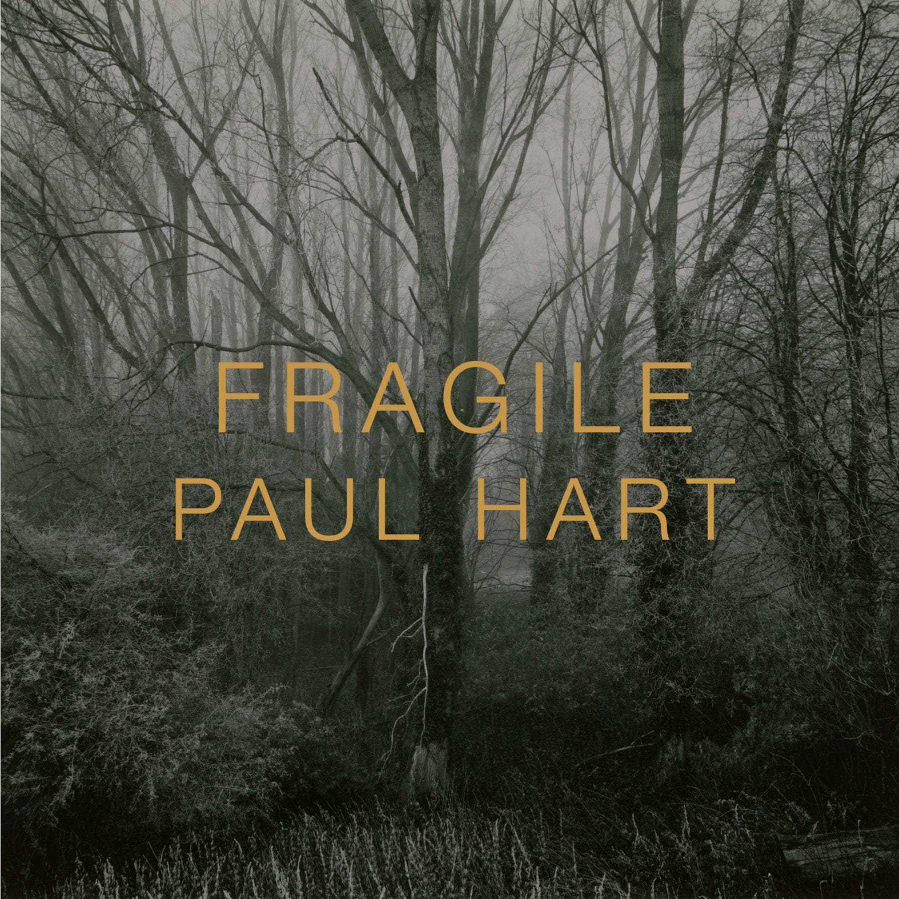 Dewi Lewis Publishing Fragile Photobooks